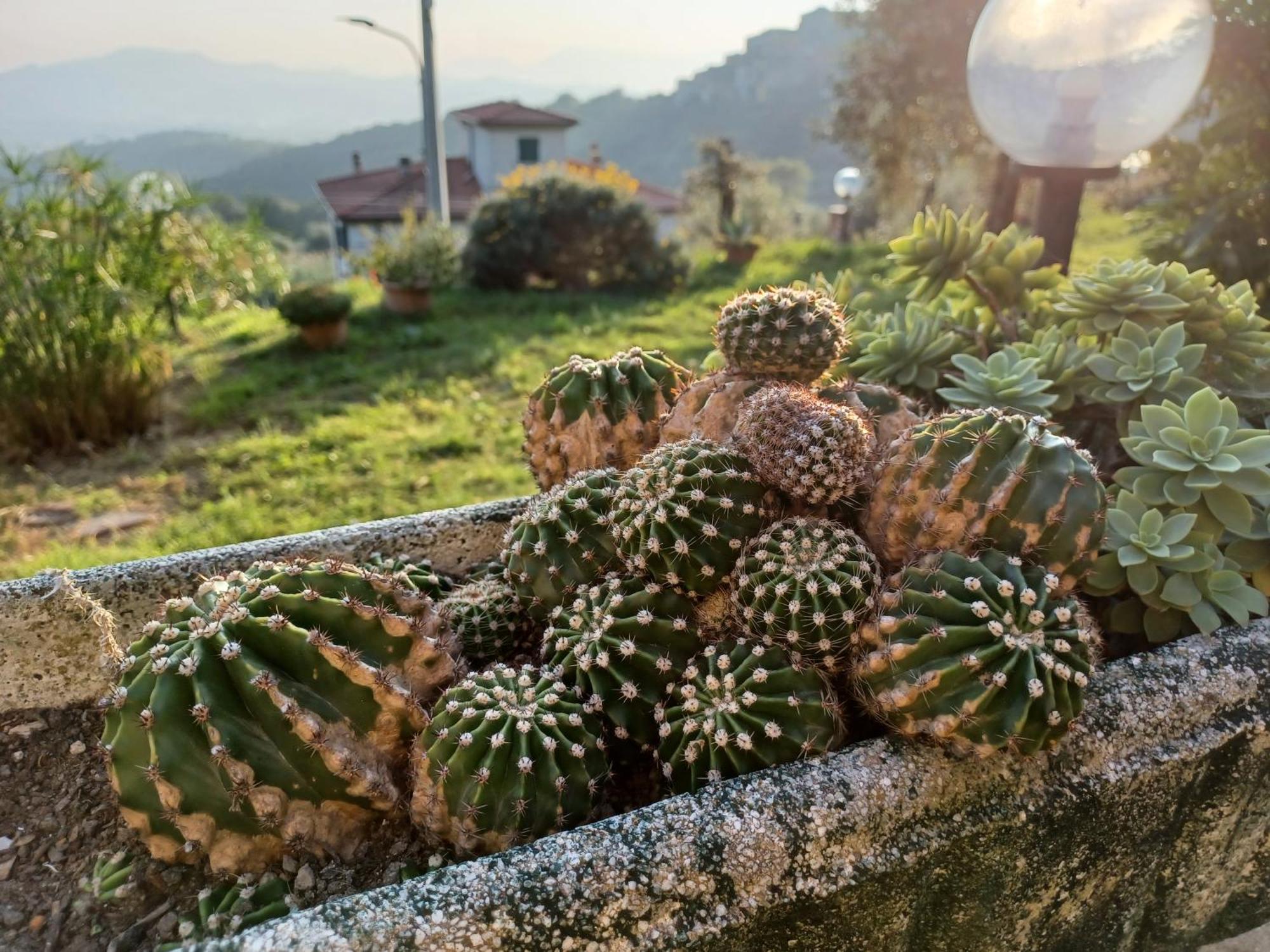 Il Fontolo Villa Ponzano Superiore Kültér fotó